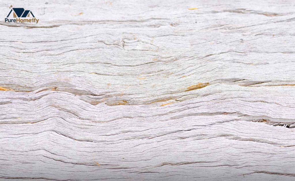 What Makes White Oak Wall Panels So Special?