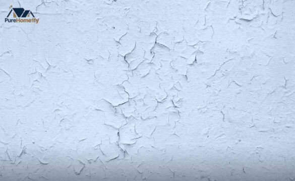 Why Are Walls Textured? The Surprising Truth
